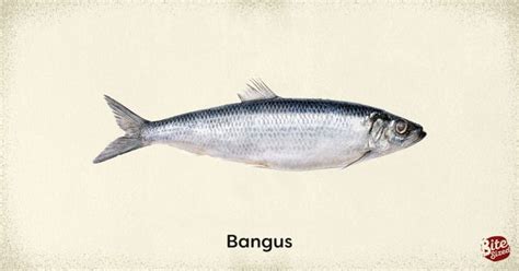 Food Almanac: Popular Fish Varieties .